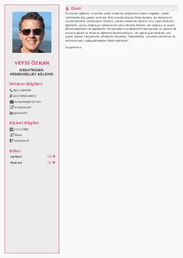 Mekatronik Mühendisliği Cv Örnekleri cv indir